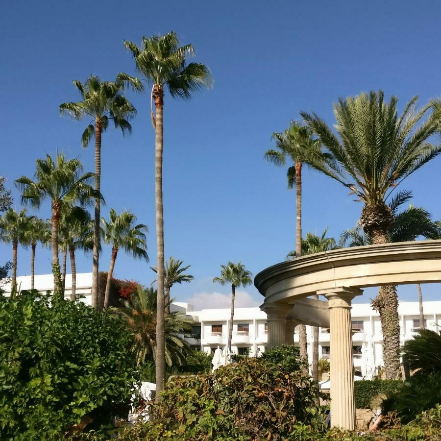 Paradise Garden Paphos Exteriör bild